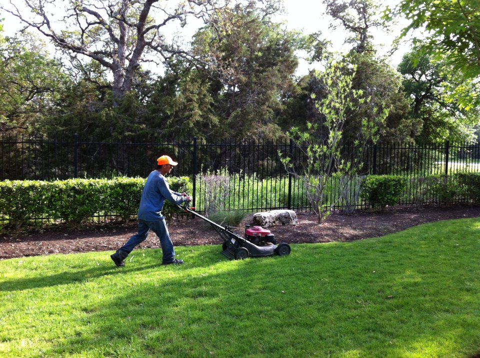 Austin's Best Lawn and Landscape