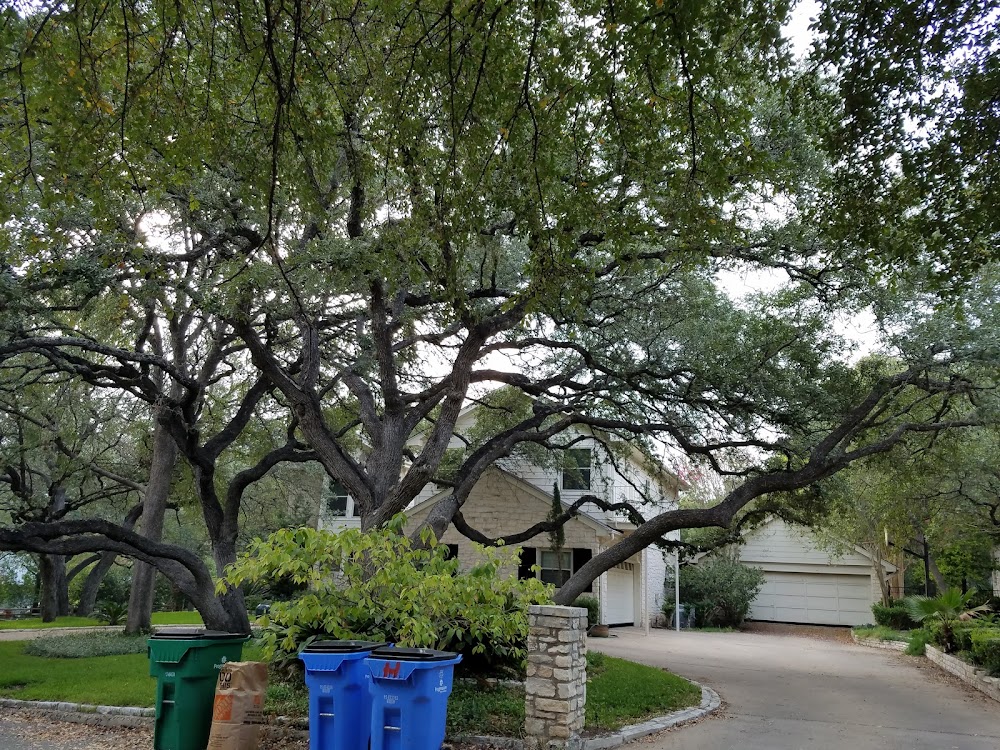 JC's Professional Tree Service Inc