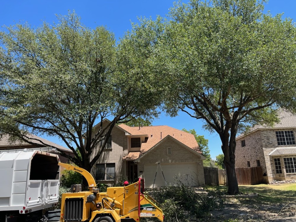 Hill Country Tree Trimming